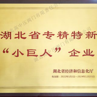 專精特新小巨人 